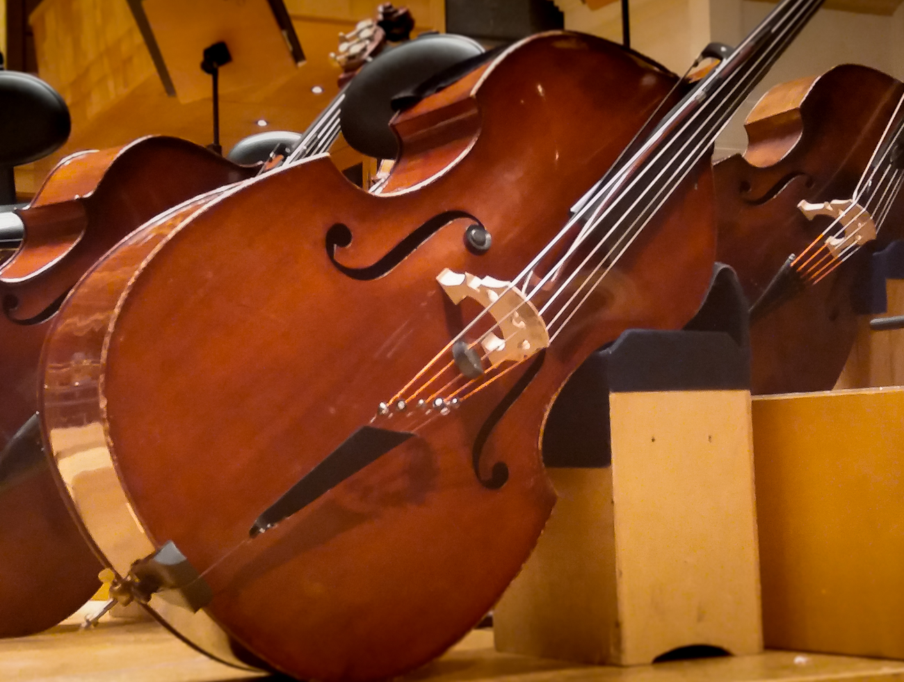 Curso de Contrabaixo Acústico